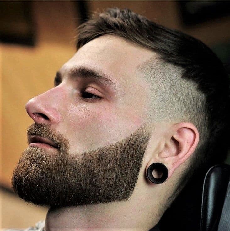 Barba nivel 2